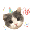 ひなこpart.1（個別スタンプ：14）