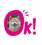 きまぐれマロン姉さん♡（個別スタンプ：2）