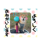 きまぐれマロン姉さん♡（個別スタンプ：4）