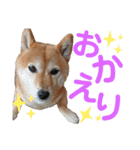 きまぐれマロン姉さん♡（個別スタンプ：9）