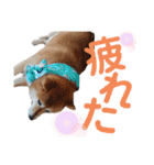 きまぐれマロン姉さん♡（個別スタンプ：18）