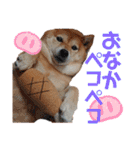 きまぐれマロン姉さん♡（個別スタンプ：19）