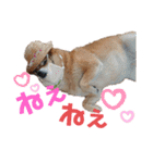 きまぐれマロン姉さん♡（個別スタンプ：24）