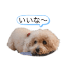 My feelings towa（個別スタンプ：5）