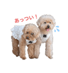 My feelings towa（個別スタンプ：7）