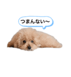 My feelings towa（個別スタンプ：8）