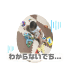 毎日ピロくん7（個別スタンプ：6）