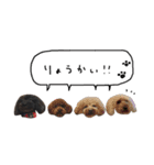 ♡ちょこっとチョコ！♡（個別スタンプ：16）
