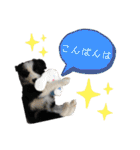 ボーダーレーン•ネオ＆エラ ファミリー（個別スタンプ：3）