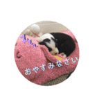 ボーダーレーン•ネオ＆エラ ファミリー（個別スタンプ：4）