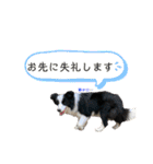 ボーダーレーン•ネオ＆エラ ファミリー（個別スタンプ：6）