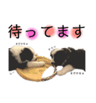 ボーダーレーン•ネオ＆エラ ファミリー（個別スタンプ：40）