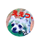 チワワだワン（個別スタンプ：2）