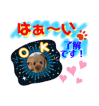 トイプードル（晴明）7（個別スタンプ：18）