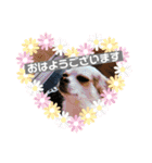 HMM stam P②（個別スタンプ：4）