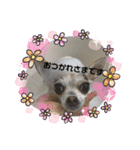 HMM stam P②（個別スタンプ：7）