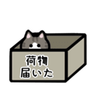 使いやすい♡白キジ猫スタンプ（個別スタンプ：23）