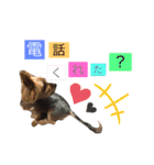 たぐち犬の可愛い子たち（個別スタンプ：4）
