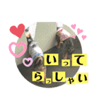 たぐち犬の可愛い子たち（個別スタンプ：7）
