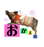 たぐち犬の可愛い子たち（個別スタンプ：8）