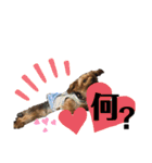 たぐち犬の可愛い子たち（個別スタンプ：9）