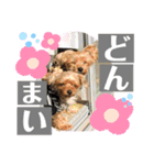 たぐち犬の可愛い子たち（個別スタンプ：10）