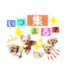 たぐち犬の可愛い子たち（個別スタンプ：12）