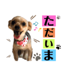 たぐち犬の可愛い子たち（個別スタンプ：15）