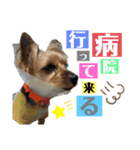 たぐち犬の可愛い子たち（個別スタンプ：18）