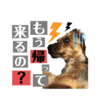 たぐち犬の可愛い子たち（個別スタンプ：20）