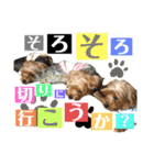 たぐち犬の可愛い子たち（個別スタンプ：23）