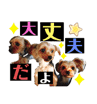 たぐち犬の可愛い子たち（個別スタンプ：24）