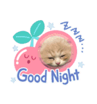 ねこのさくらちゃんと仲間たち（個別スタンプ：7）