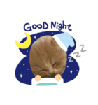 ねこのさくらちゃんと仲間たち（個別スタンプ：12）