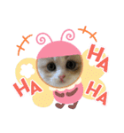 ねこのさくらちゃんと仲間たち（個別スタンプ：14）