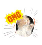 ねこのさくらちゃんと仲間たち（個別スタンプ：18）