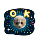 ねこのさくらちゃんと仲間たち（個別スタンプ：20）
