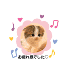 ねこのさくらちゃんと仲間たち（個別スタンプ：23）