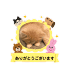 ねこのさくらちゃんと仲間たち（個別スタンプ：25）