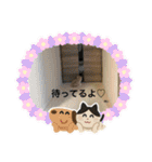 ねこのさくらちゃんと仲間たち（個別スタンプ：27）