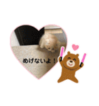 ねこのさくらちゃんと仲間たち（個別スタンプ：28）