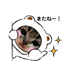 ねこのさくらちゃんと仲間たち（個別スタンプ：29）