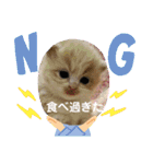 ねこのさくらちゃんと仲間たち（個別スタンプ：39）