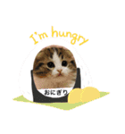 ねこのさくらちゃんと仲間たち（個別スタンプ：40）