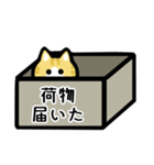 使いやすい♡キジ猫スタンプ（個別スタンプ：23）