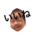 ★はるひづ兄弟2★（個別スタンプ：10）