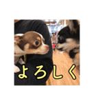 「たろ」のスタンプ（個別スタンプ：6）