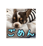 「たろ」のスタンプ（個別スタンプ：8）