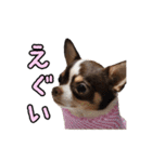 「たろ」のスタンプ（個別スタンプ：22）