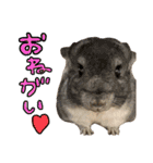 あにまるすたんぷ①（個別スタンプ：6）